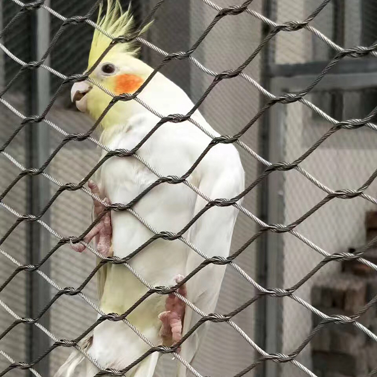 不銹鋼百鳥園網